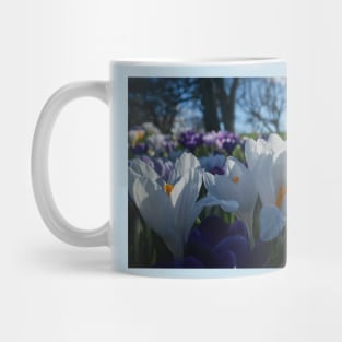 The flowers that bloom in the Spring (tra la!) Mug